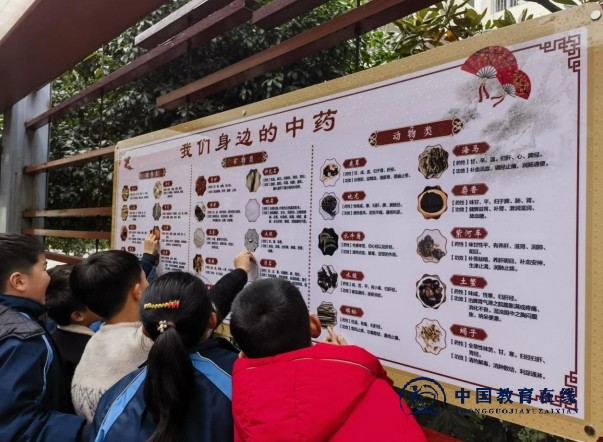 城区二小积极开展“中医药文化进校园”系列活动
